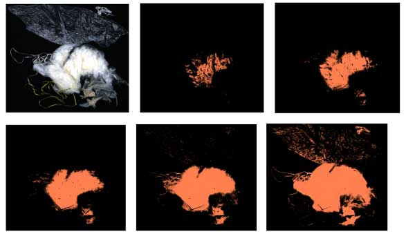 基于可見近紅外技術的棉花、地膜快速識別研究