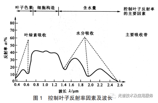 高光譜無人機(jī)遙感影像識別技術(shù)在茶園病蟲害中的應(yīng)用