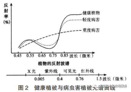 高光譜無人機(jī)遙感影像識別技術(shù)在茶園病蟲害中的應(yīng)用