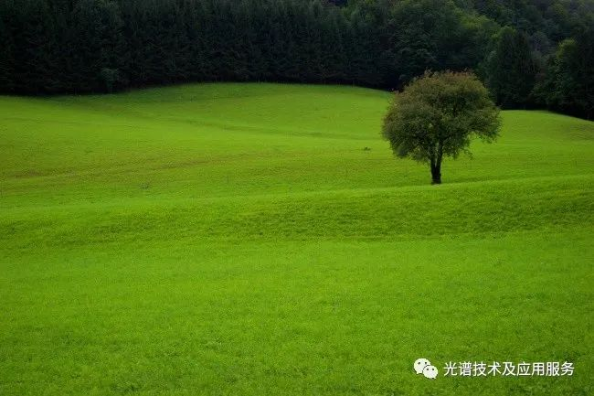 ?利用高光譜技術(shù)進行草地地上生物量估測?