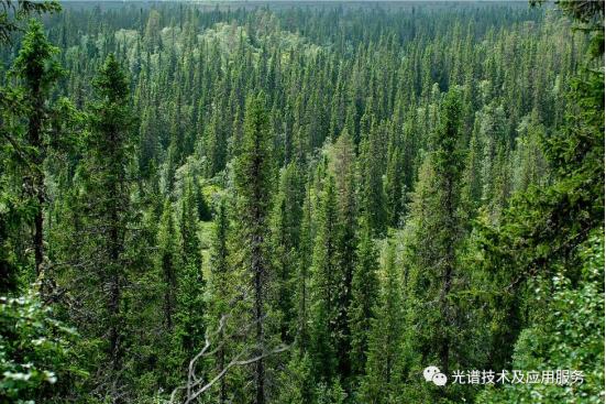高光譜遙感獲取伐區調查數據的應用綜述