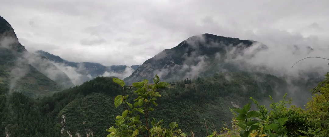 基于高光譜遙感的山區耕地土壤有機質反演研究2.0