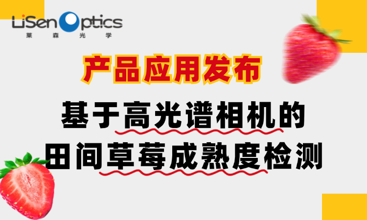 【產品應用發布】基于高光譜相機的田間草莓成熟度檢測