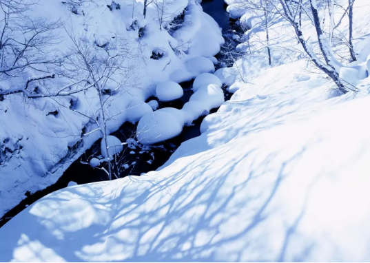 南方冬季濕雪的光譜特征分析