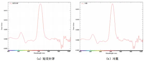 圖片6.png