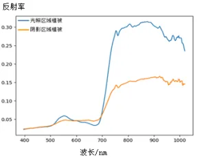 圖片13.png